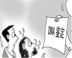 广东权威亲子鉴定检测机构在哪里，广东亲子鉴定哪里可以办理