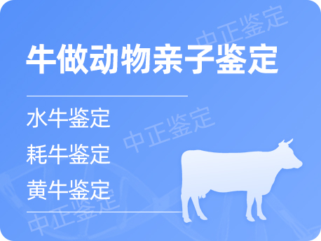 广东牛做动物亲子鉴定